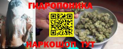 молекула духа Бузулук