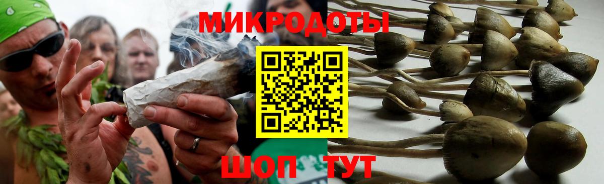 Псилоцибиновые грибы Cubensis  Вход с VPN  Ноябрьск 